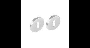 Sleutelrozetten verdekt ø53x8mm met nokken rvs