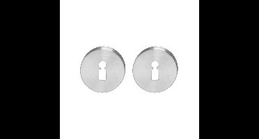 Sleutelrozetten verdekt ø55x8mm met nokken rvs circulairgeborsteld