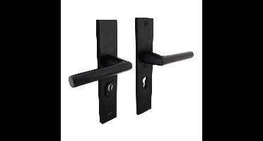 SKG3 veiligheidsbeslag rechthoekig 250x50mm kruk/kruk Juramet veerconstructie profielcilindergat 55m