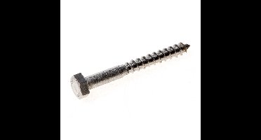 Houtdraadbouten rvs a2 6x 55