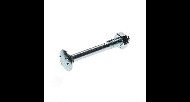 Slotbouten geg. m10x 80