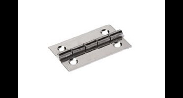 Smalscharnier 30x20x0.8mm vaste pen RVS