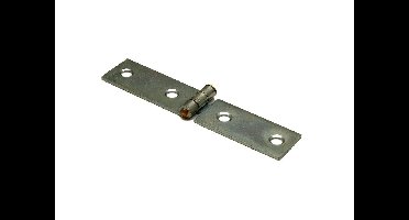 Klepscharnier 20x80 verzinkt