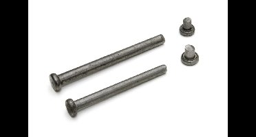 Scharnierpen rvs + dummy voor lager scharnier