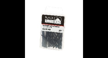 Spaanpl.schr.zwart pk tx20 4.0X40 Blister 20