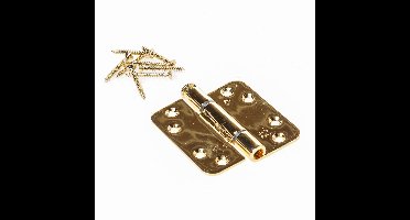 BSW scharnier rh rd818 mess.gepol. 89x89x3