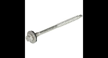 PANEELSCHROEF RVS 7X165/20