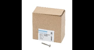 Spaanpl.schr.rvs pk tx20 4.5X35/24 dd