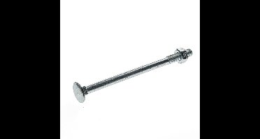 Slotbouten geg. m10x140