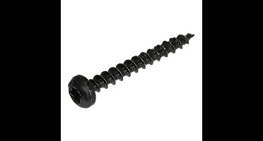 Spaanpl.schr.zwart ck tx10 3.0X25(25)