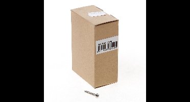 Anti-inbraakschroef rvs 4,0x25