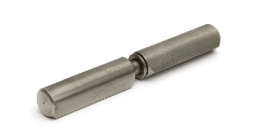 Aanlaspaumelle rvs 100