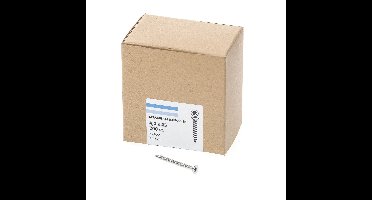 Spaanpl.schr.rvs pk tx20 4.0X45 vd