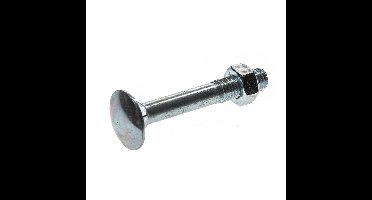 Slotbouten geg. m12x 70