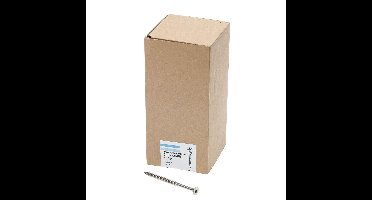 Spaanpl.schr.rvs pk tx25 6.0X90/60 dd