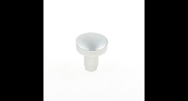 Knop z/schaalplaat f1 169/50 m10