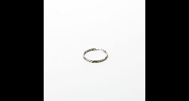 Sleutelring vernik. 25mm