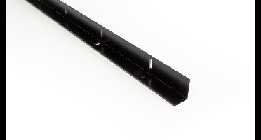 Proslide muurbev. prof 3000mm - ZWRT