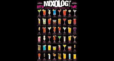 Pyramid - Mixology Maxi Poster