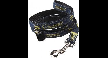 BATMAN - Honden riem -M (Lengte 100cm - Breedte 2cm)