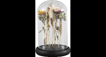 PTMD Rossa Ronde Stolp Gedroogde Bloemen - H22xØ14 cm - Glas