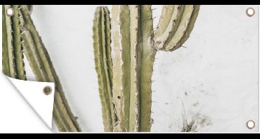 GreatGardenPosters - Tuindoek - Zomer - Cactus - Planten - Tropisch - Tuin - 160x80 cm - Tuinposter - Tuinschilderij - Muurdecoratie - Wanddecoratie