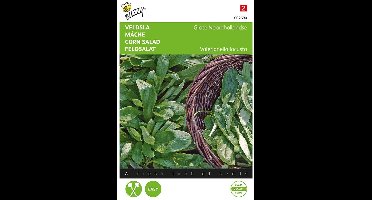 Buzzy® Veldsla Grote Noordhollandse