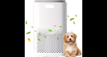 Elektrische Apparatuur – Elektrisch Apparaat – Stroomapparaat – Elektronisch Hulpmiddel – Europese Stekker – 220V Tot 240V – Direct Gebruik