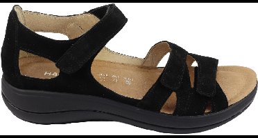 Hartjes Pop 2104 /30.01.00