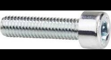 839595 Inbusschroeven M4 30 mm Binnenzeskant (inbus) Staal Verzinkt 100 stuk(s)
