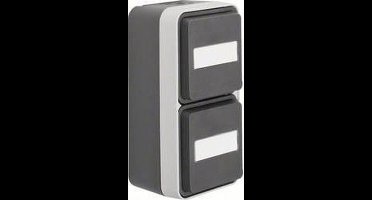 Berker 47703535 W.1 (opbouw) Wandcontactdoos dubbel spatwaterdicht Grijs, Lichtgrijs