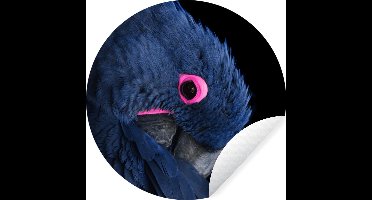 WallCircle - Muurstickers - Behangcirkel - Papegaai - Roze - Blauw - ⌀ 30 cm - Muurcirkel - Zelfklevend - Ronde Behangsticker