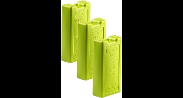 Plasticforte koelelementen - 6x stuks - 1100 ml - 22 x 11 x 5 cm - groen - kunststof