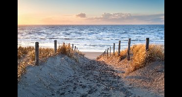 Afbeelding op acrylglas - pad naar de Noordzee, te koop in 3 maten