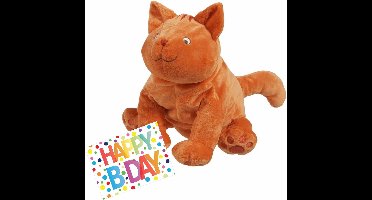Pluche knuffel Dikkie Dik kat/poes 43 cm met A5-size Happy Birthday wenskaart - Verjaardag cadeau setje