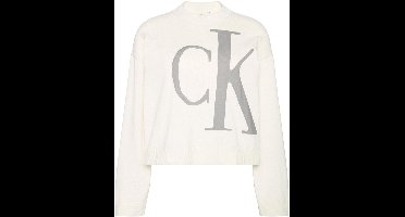 Calvin Klein Trui Long Sleeve Smooth Lv047e304g Yas Tofu Dames Maat - XS