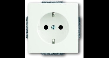 ABB Busch-Jaeger Future Wandcontactdoos (WCD-Schakelmateriaal) - 2CKA002013A5328 - E2Q9W