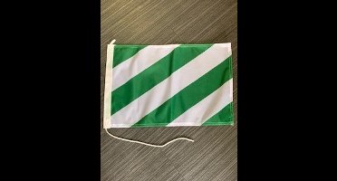 vlag groen/wit 30x45cm