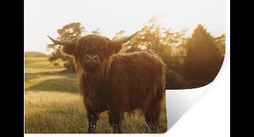 Muurstickers - Sticker Folie - Schotse hooglander - Gras - Zon - 30x20 cm - Plakfolie - Muurstickers Kinderkamer - Zelfklevend Behang - Zelfklevend behangpapier - Stickerfolie