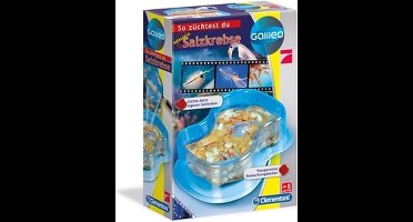 Galileo Original Salzkrebse