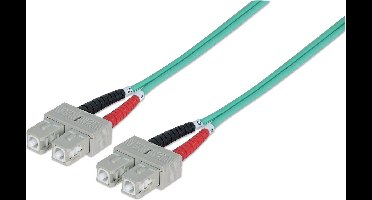 Intellinet SC/SC OM3 1m 1m SC SC Blauw, Cyaan, Grijs Glasvezel kabel