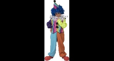 Regenboog clown pak kinderen unisex
