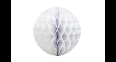 Creotime Pompon 8 Cm 10 Stuks Wit Papier