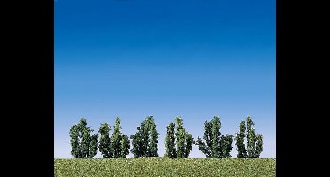 Faller - 6 Struiken - modelbouwsets, hobbybouwspeelgoed voor kinderen, modelverf en accessoires