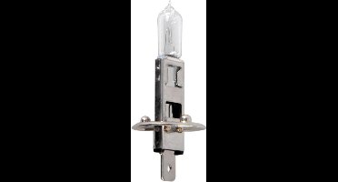 ProPlus Autolamp - 12V - 55W - P14.5S - H1 - blisterverpakking