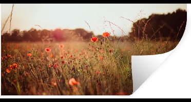 Muurstickers - Sticker Folie - Zonsondergang - Bloemen - Rood - 40x20 cm - Plakfolie - Muurstickers Kinderkamer - Zelfklevend Behang - Zelfklevend behangpapier - Stickerfolie