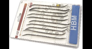HBM 10 Delige Dubbelzijdige Gebogen Sleutelvijlenset 140 mm