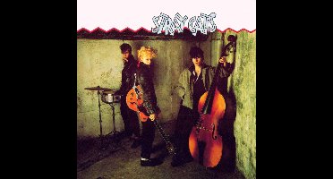 Stray Cats