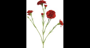 Nova nature - (Best) Dianthus Charly red 62 cm kunstbloem