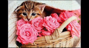 Kangaro bureau onderlegger - 38x58cm - Kitten - antislip - met insteekvakken - K-0014D118